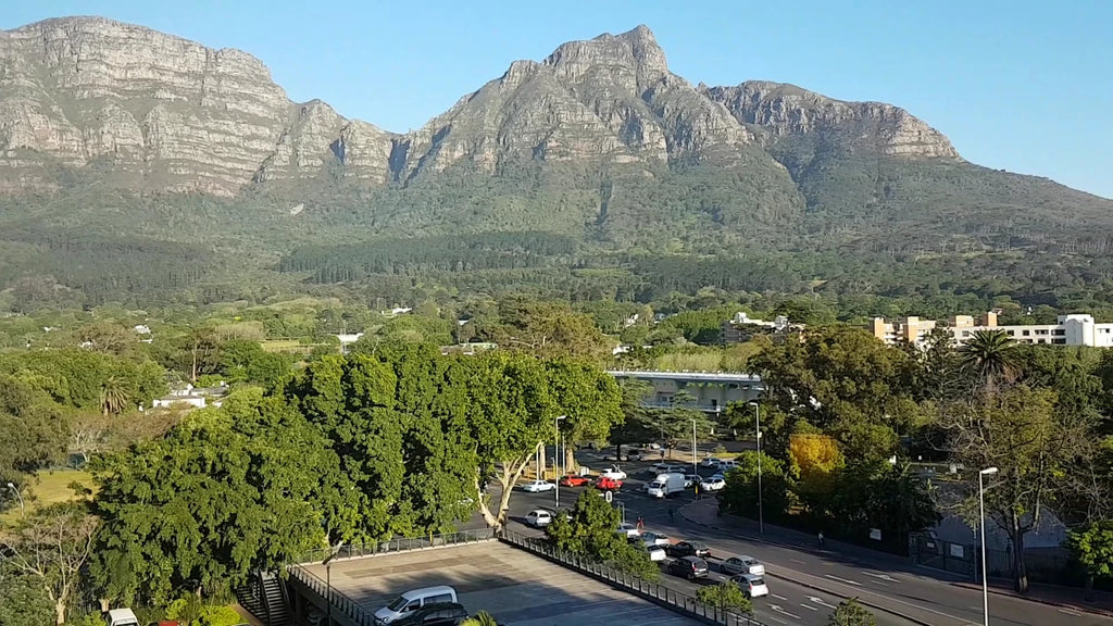 Southern Sun Newlands, Cape Town South Africa