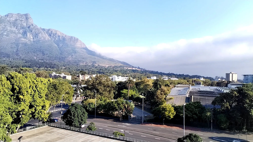 Southern Sun Newlands, Cape Town South Africa