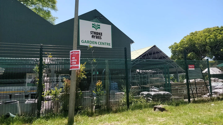 Starke Ayres Garden Centre