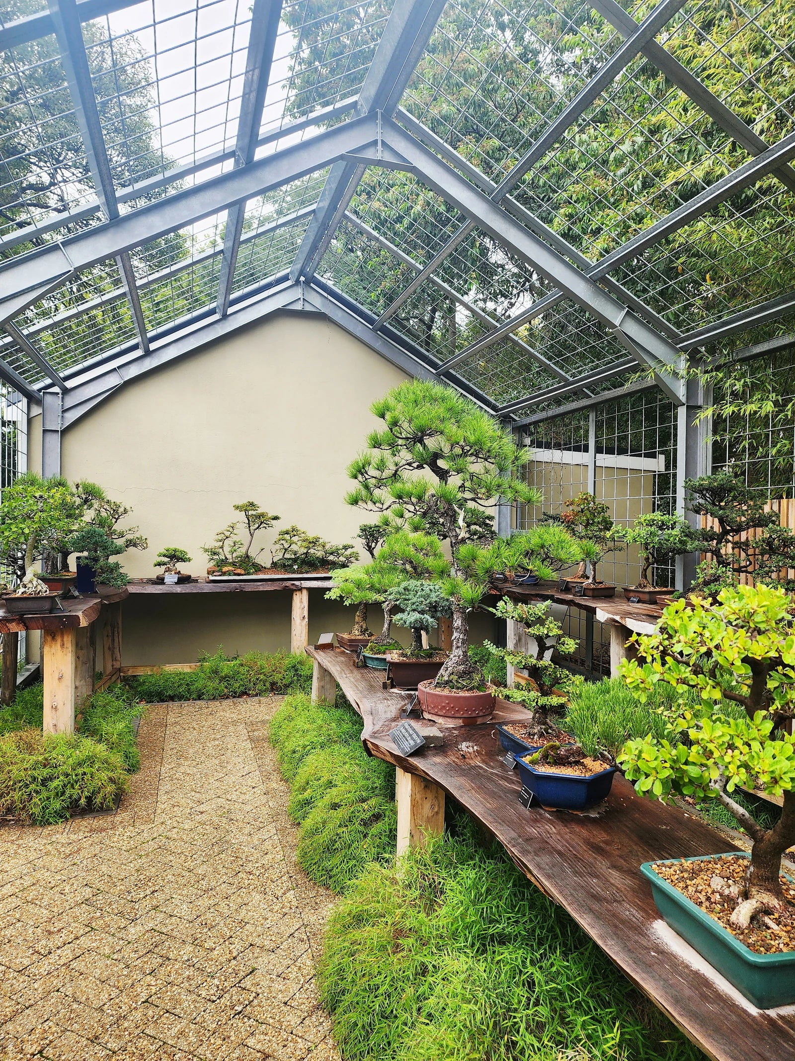 Stellenbosch University Botanical Garden, Stellenbosch South Africa