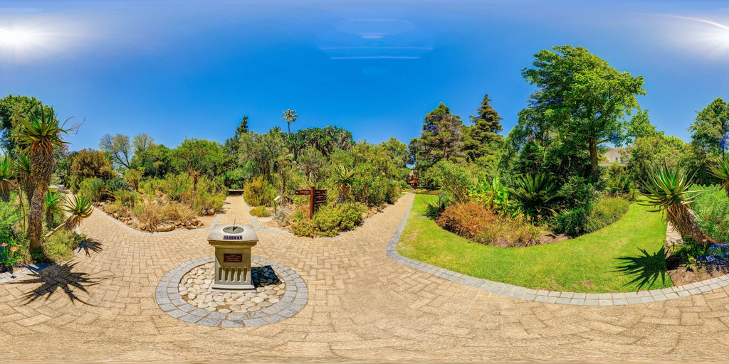 Stellenbosch University Botanical Garden, Stellenbosch South Africa