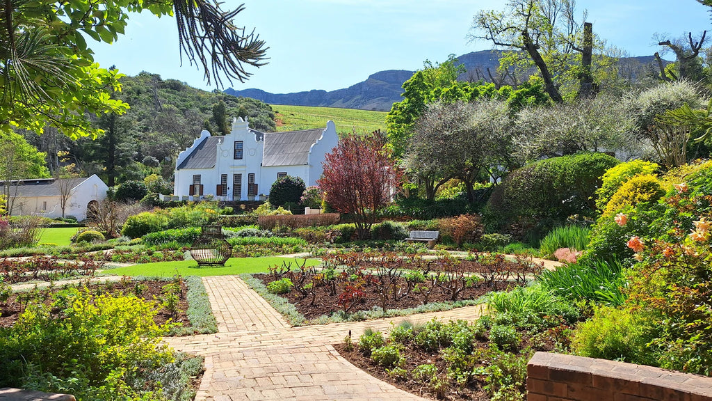 Stellenbosch University Botanical Garden, Stellenbosch South Africa