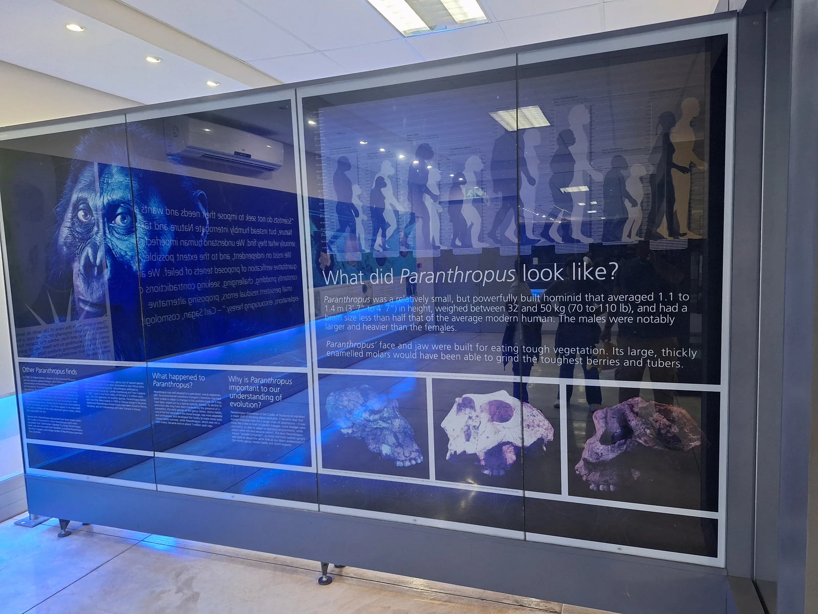 Sterkfontein Caves, Johannesburg South Africa