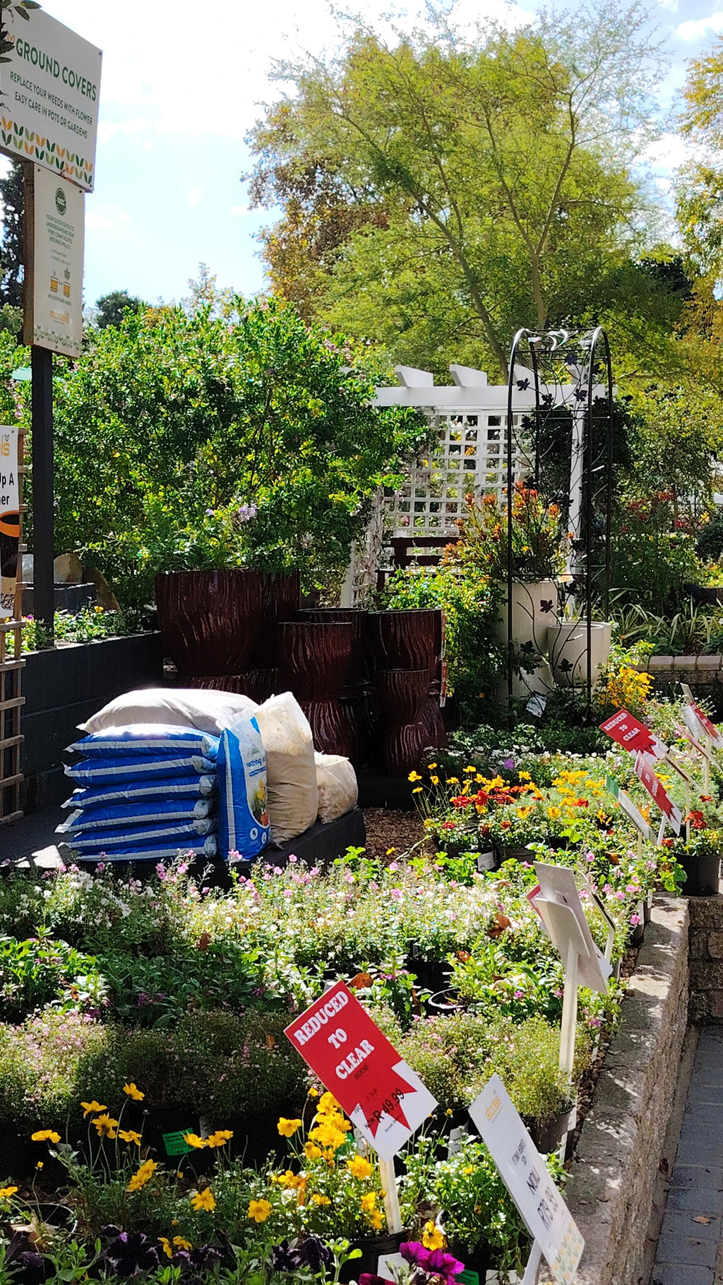 Stodels Garden Centre - Bellville, Cape Town South Africa