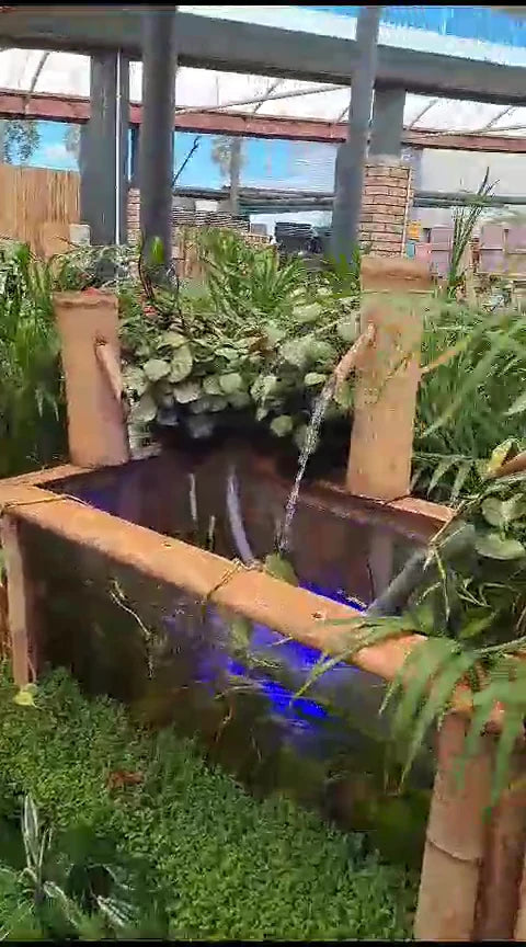 Stodels Garden Centre - Bellville, Cape Town South Africa