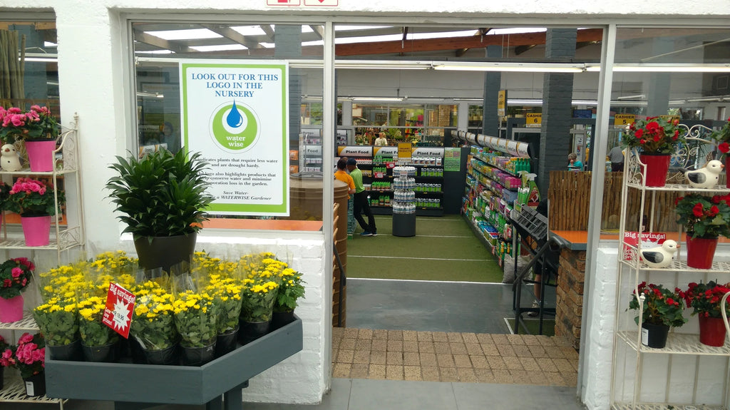 Stodels Garden Centre - Bellville, Cape Town South Africa