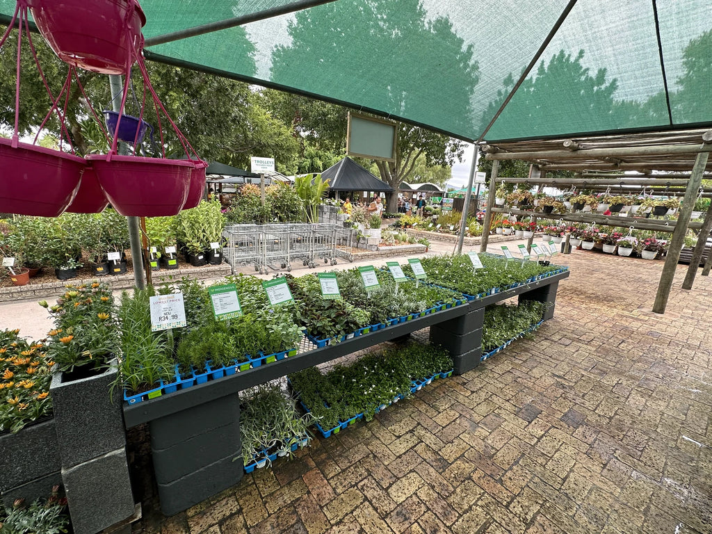 Stodels Garden Centre - Bellville, Cape Town South Africa