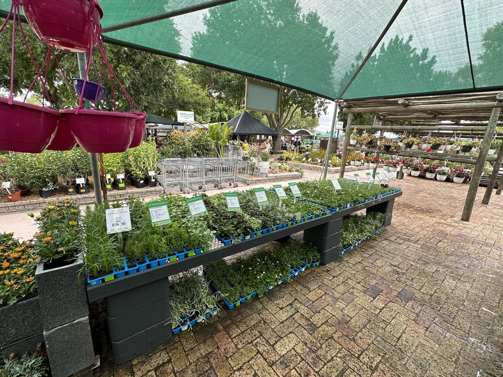 Stodels Garden Centre - Bellville, Cape Town South Africa