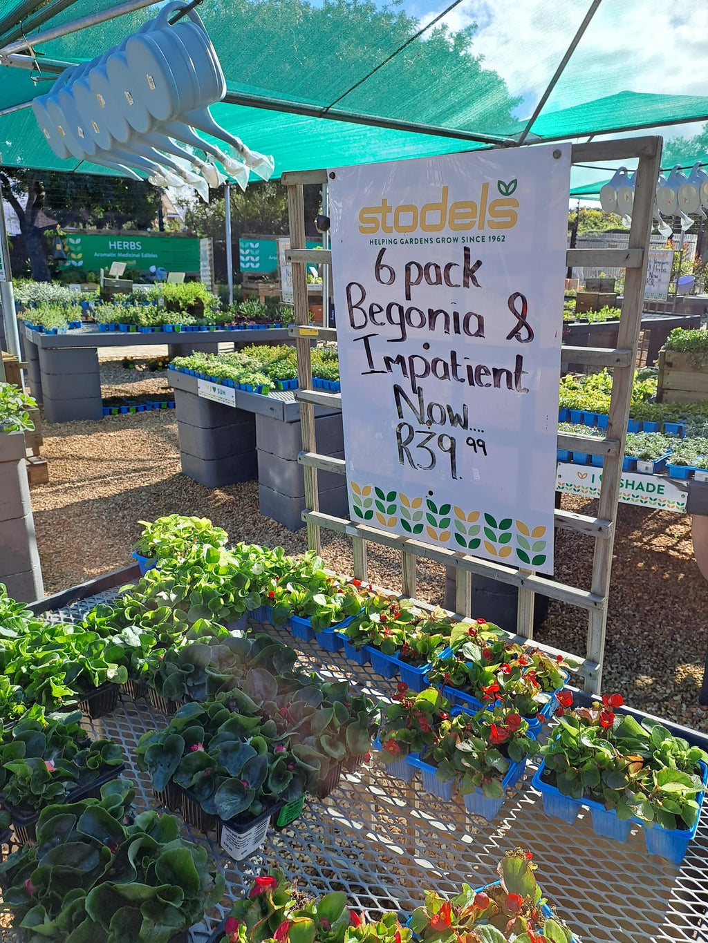 Stodels Garden Centre Bergvliet, Cape Town South Africa