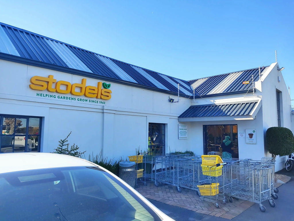 Stodels Garden Centre - Kenilworth, Cape Town South Africa