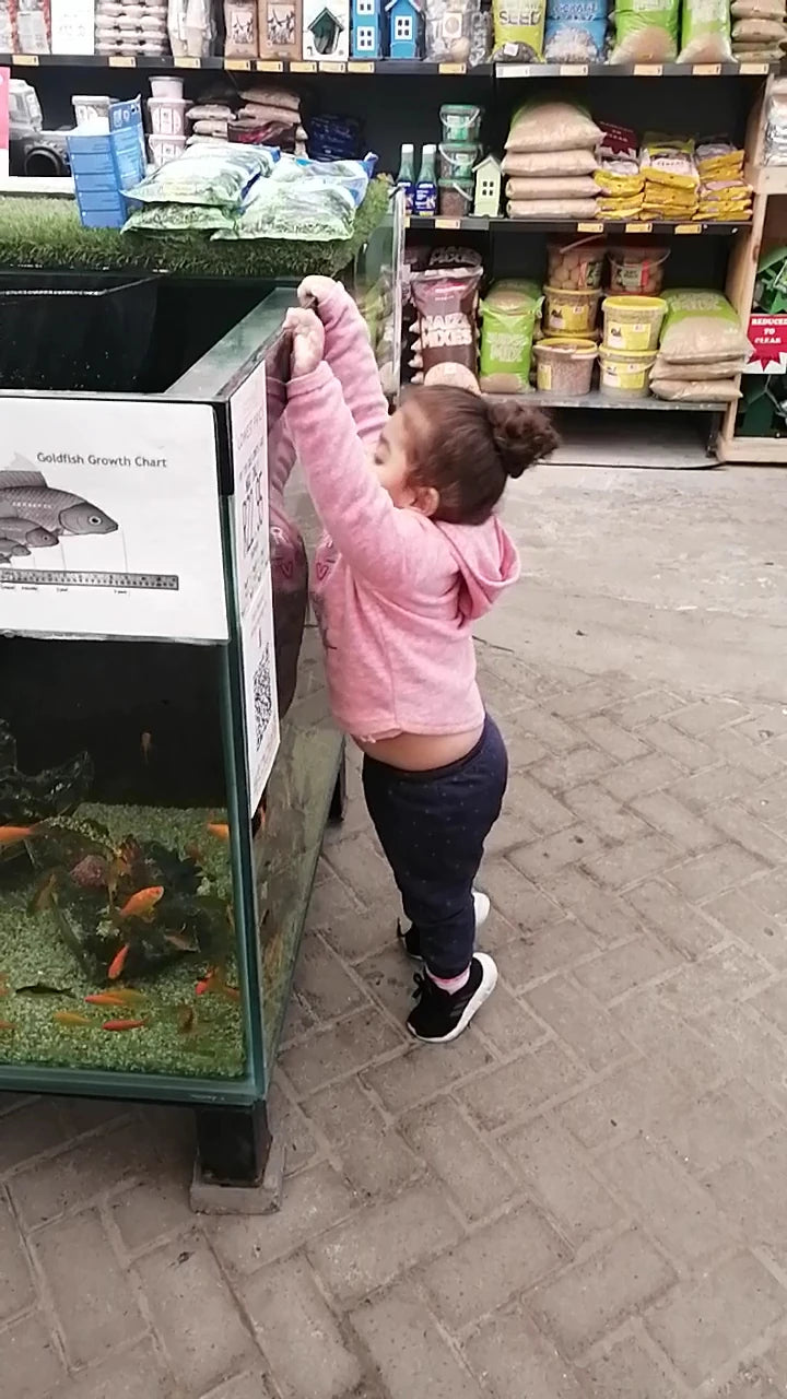 Stodels Garden Centre - Kenilworth, Cape Town South Africa