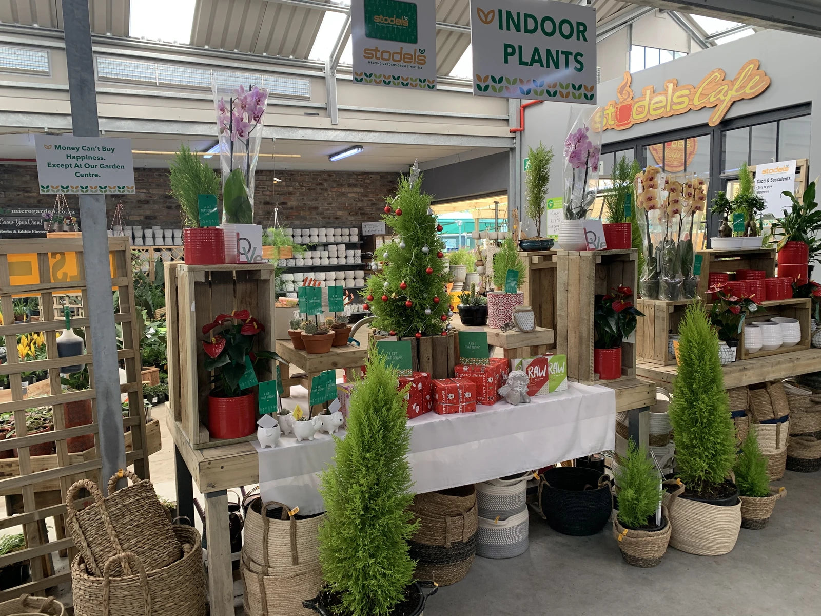 Stodels Garden Centre - Kenilworth, Cape Town South Africa