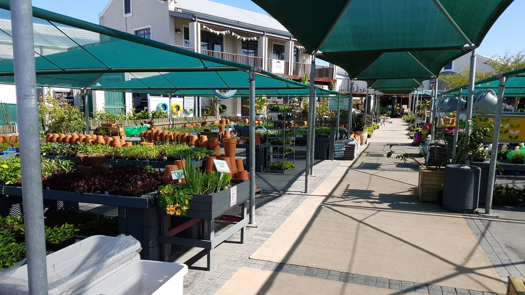 Stodels Garden Centre - Milnerton, Cape Town South Africa