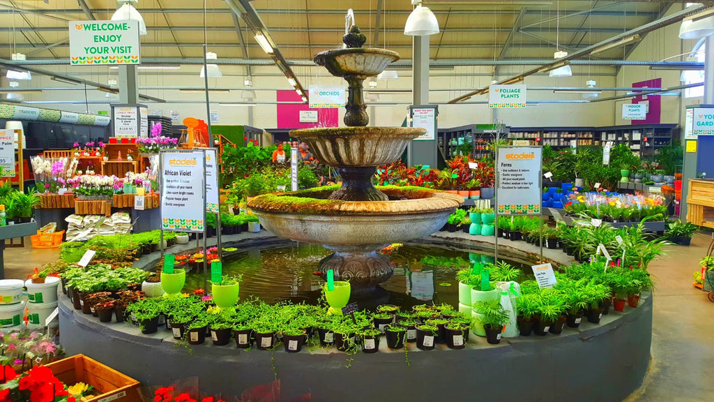 Stodels Garden Centre - Milnerton, Cape Town South Africa