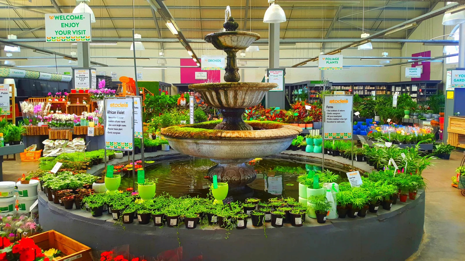 Stodels Garden Centre - Milnerton, Cape Town South Africa