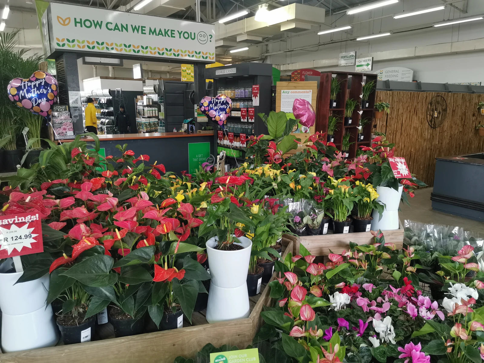 Stodels Garden Centre - Somerset West, Cape Town South Africa