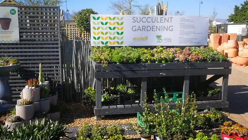 Stodels Garden Centre - Somerset West, Cape Town South Africa