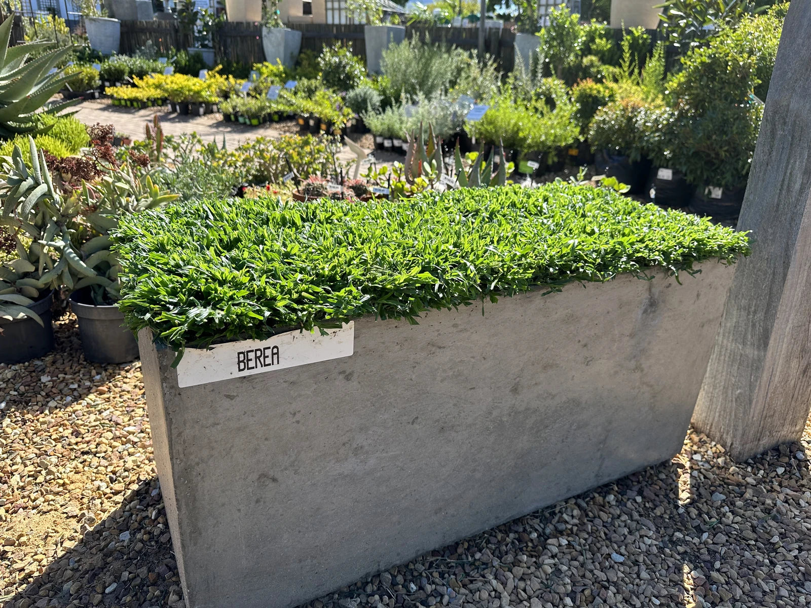 Stodels Garden Centre - Somerset West, Cape Town South Africa
