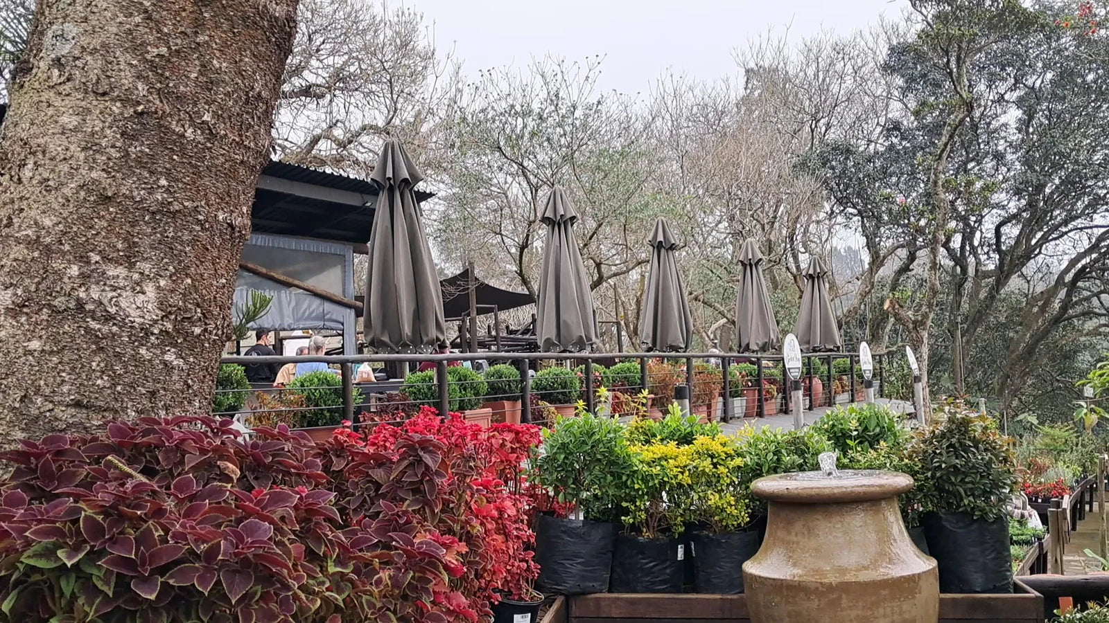 Stonehouse - The Cafe’ , The Garden Shop, The Gift Shop, Botha's Hill South Africa
