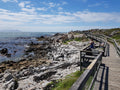 Stony Point Nature Reserve, Betty's Bay South Africa