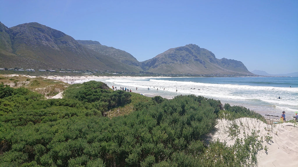 Stony Point Penguin Colony Entrance🐧, 
Betty's Bay South Africa