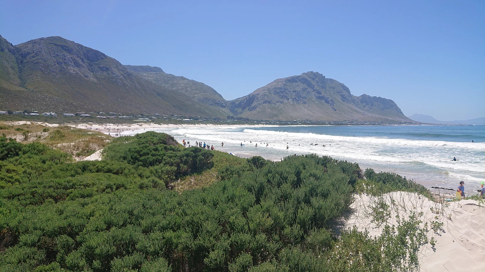 Stony Point Penguin Colony Entrance🐧, 
Betty's Bay South Africa