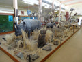 Swakopmund Museum, Swakopmund Namibia