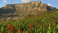 Table Mountain Aerial Cableway, Cape Town South Africa