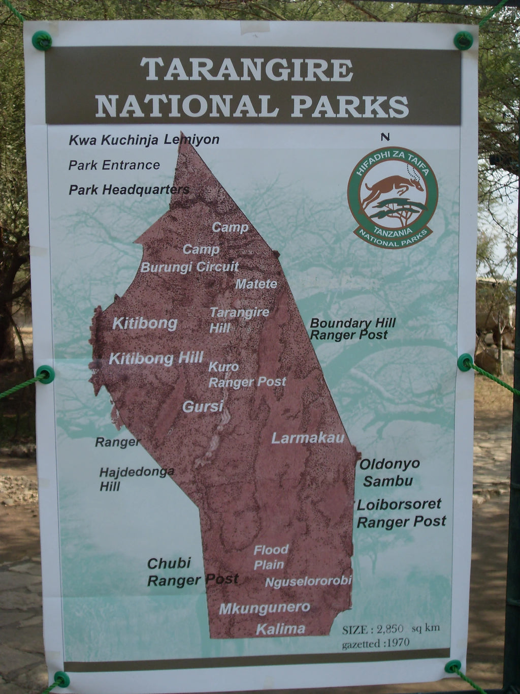 Tarangire National Park,  Tanzania