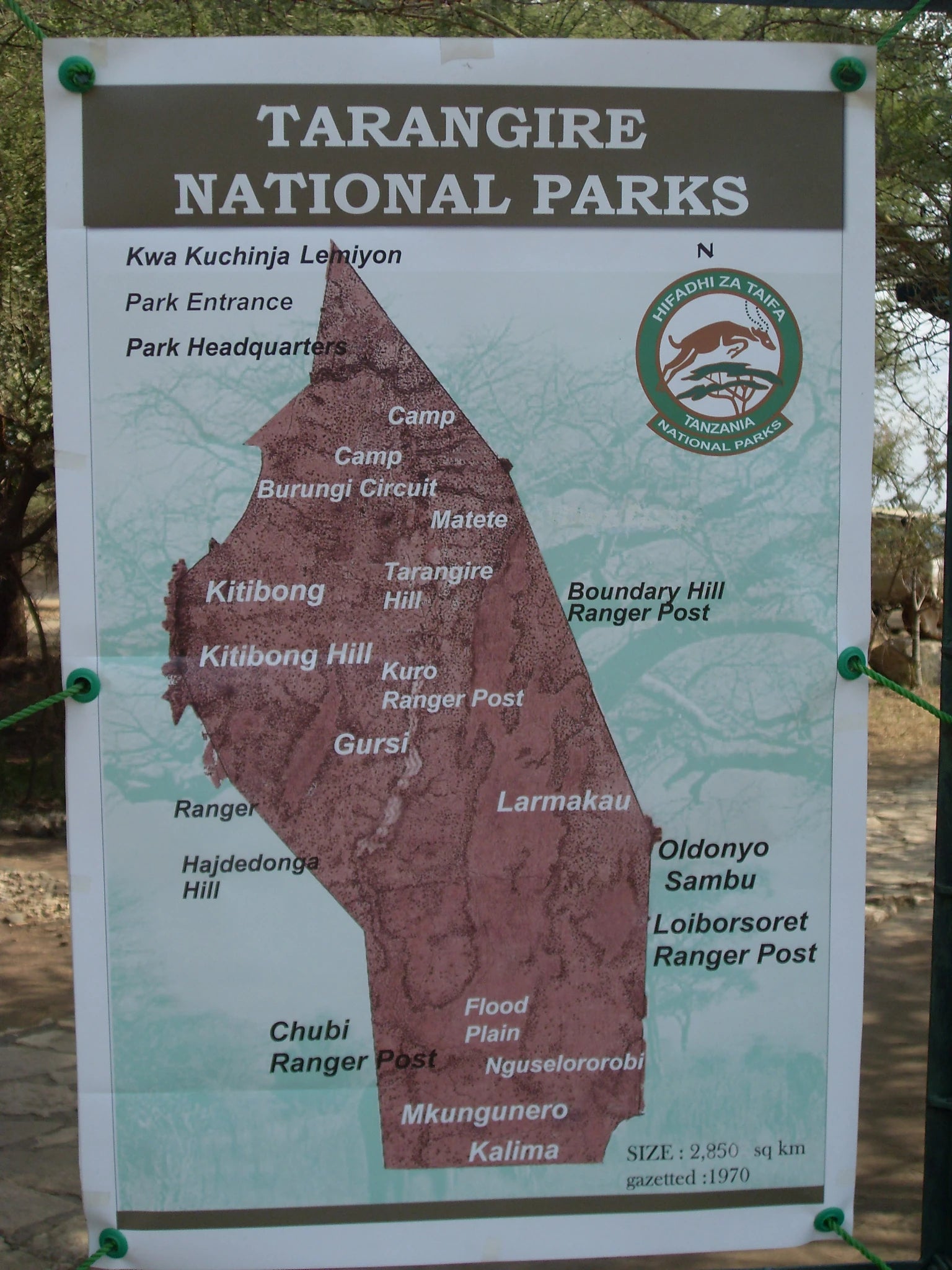Tarangire National Park,  Tanzania