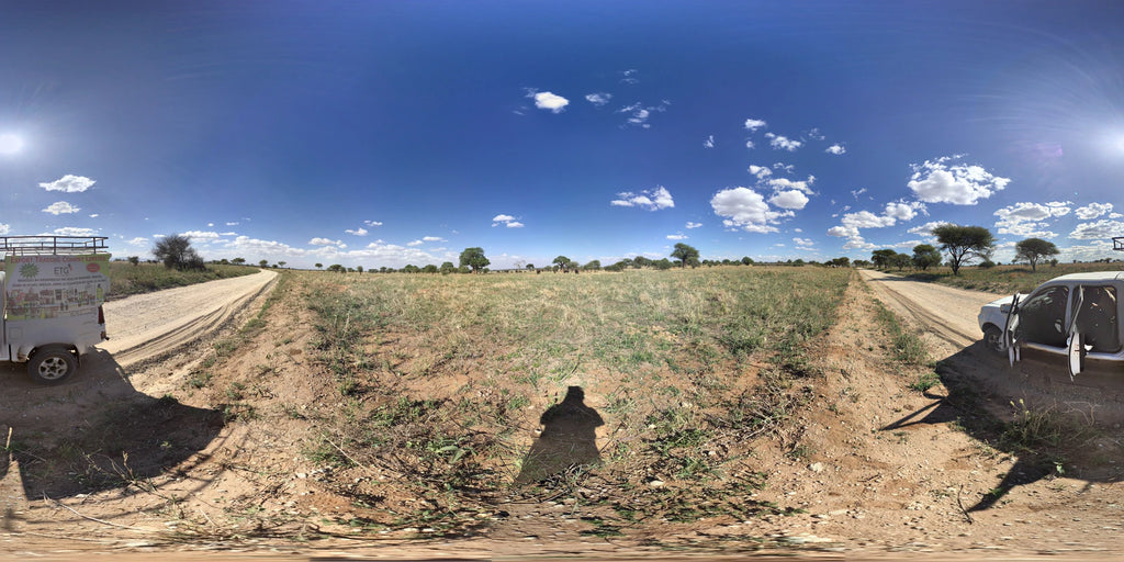 Tarangire National Park,  Tanzania