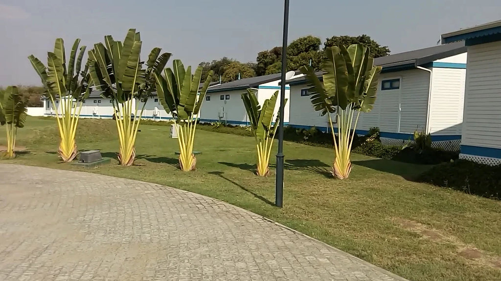 Tete, Tete Mozambique