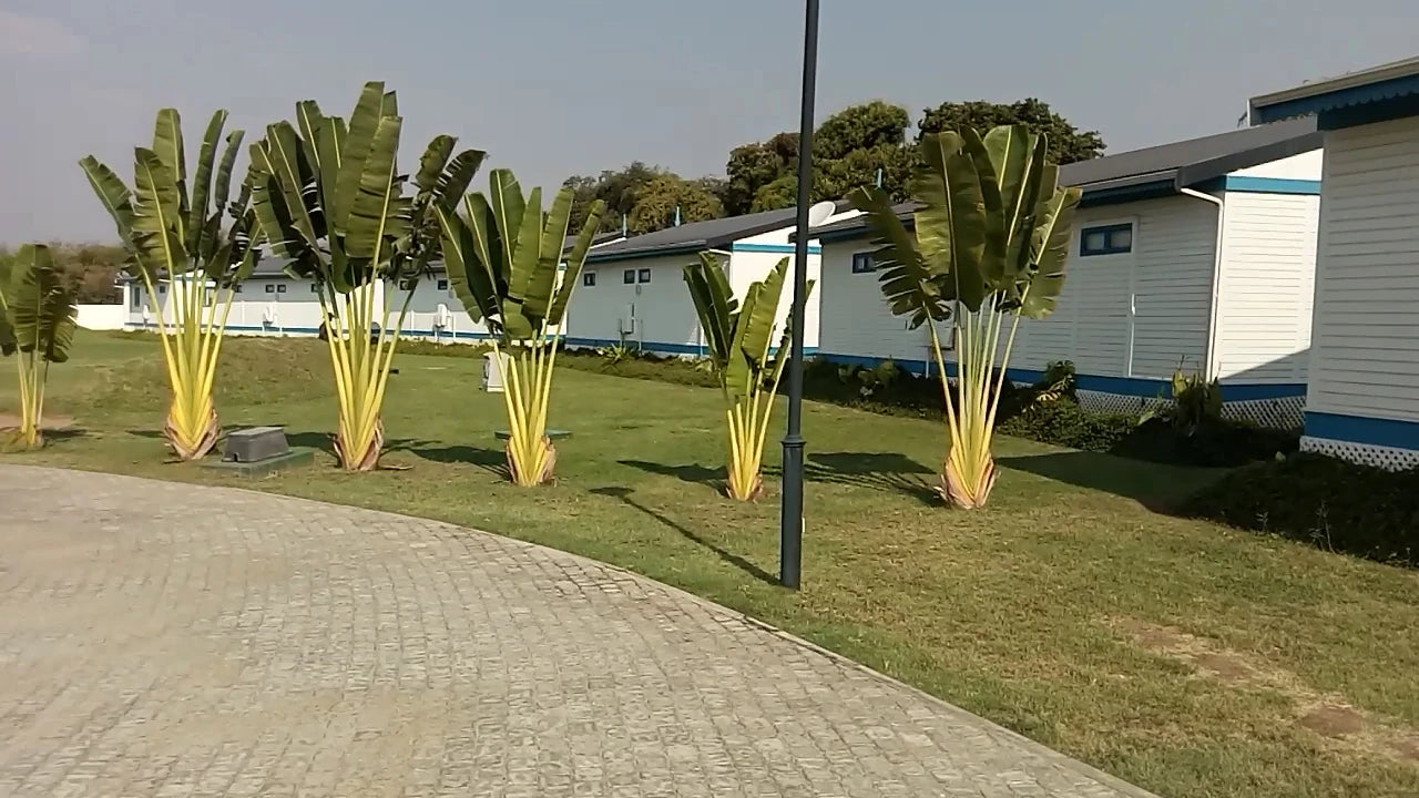 Tete, Tete Mozambique