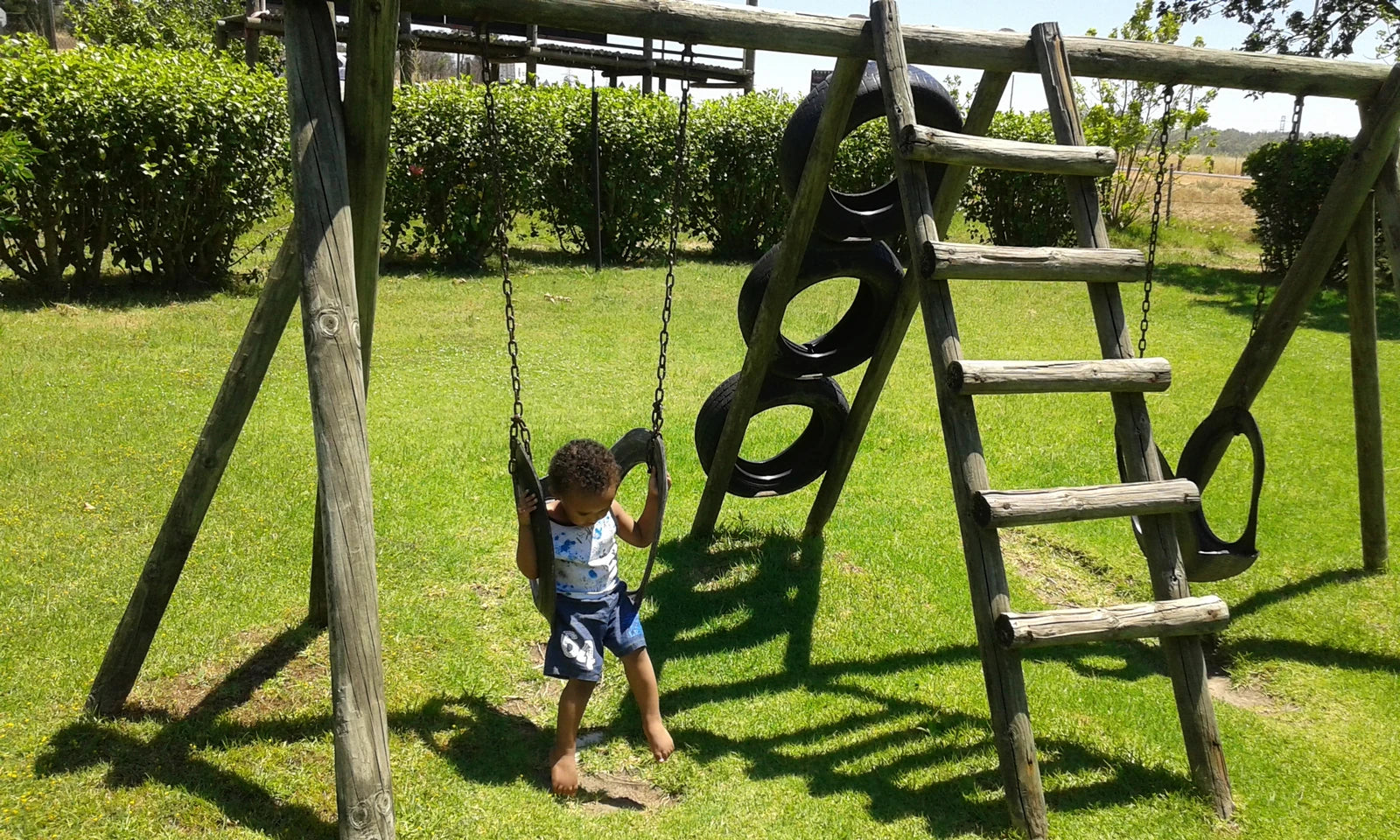 The Alpaca Loom Coffee Shop and Weaving Studio, Southern Paarl South Africa