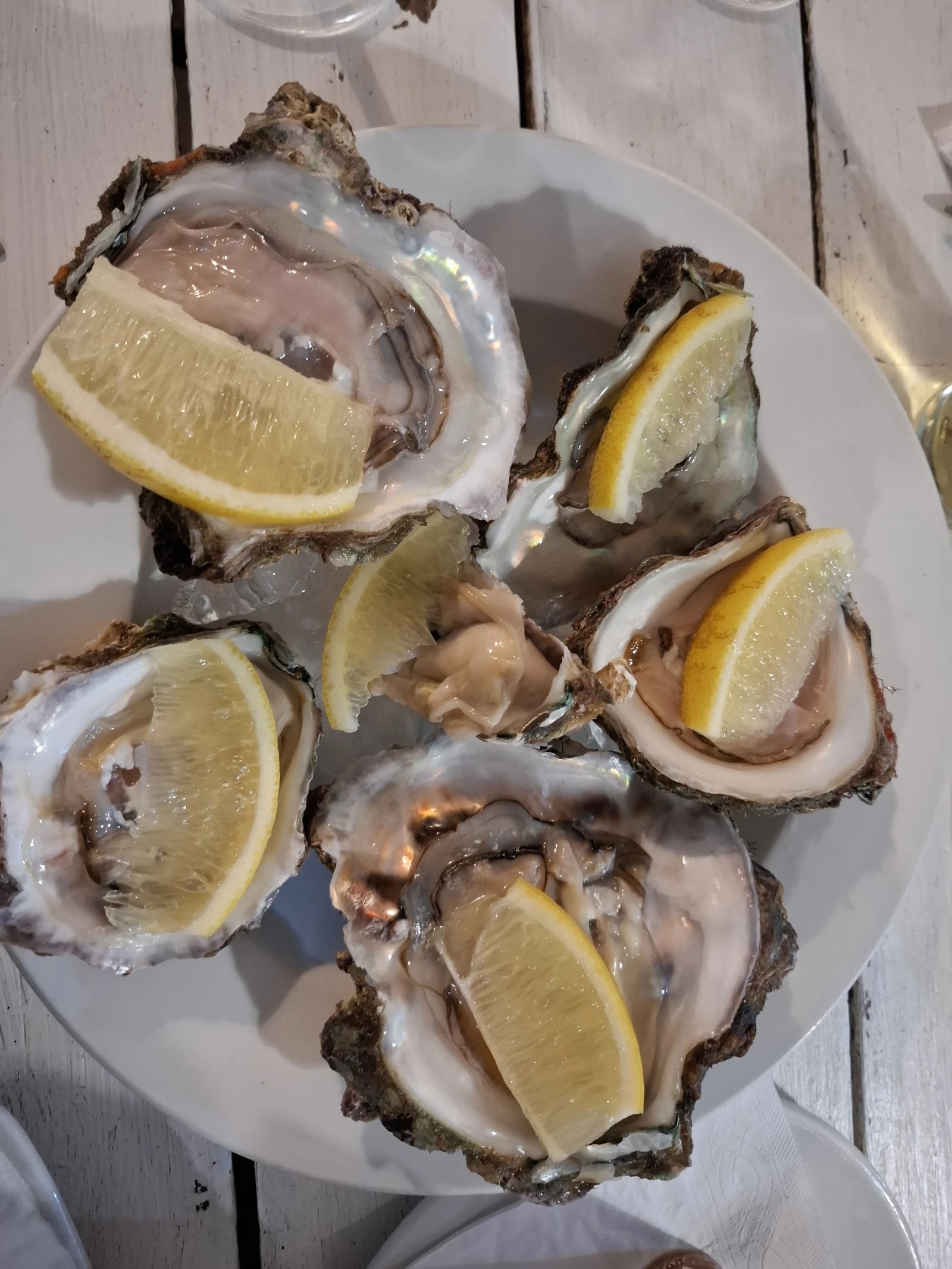 The Anchorage Beach Restaurant & Bar, Witsand South Africa