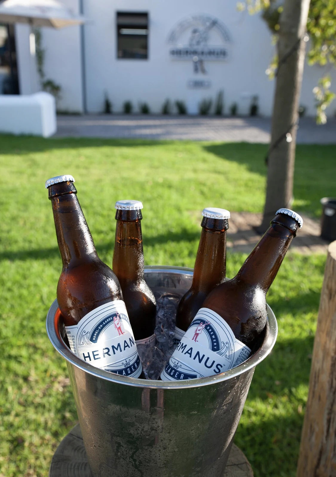 THE BREWERY & GRILL, Hermanus South Africa