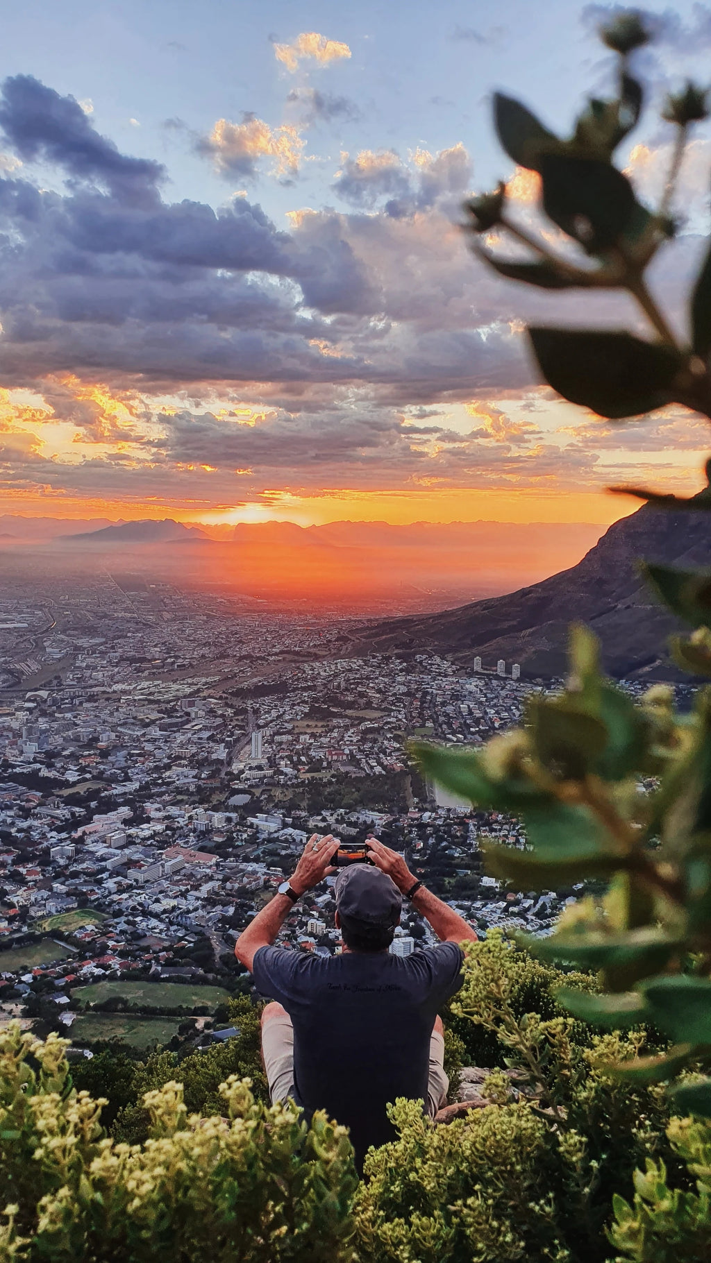 The Cape Town Local,  South Africa