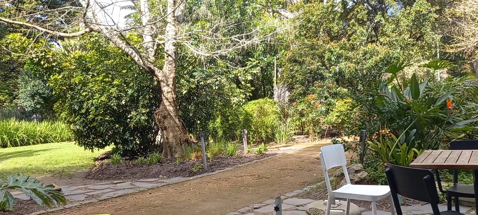The Company's Garden Restaurant, Cape Town South Africa
