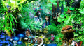 The Continent of Sulina (Fairy Garden), Swellendam South Africa
