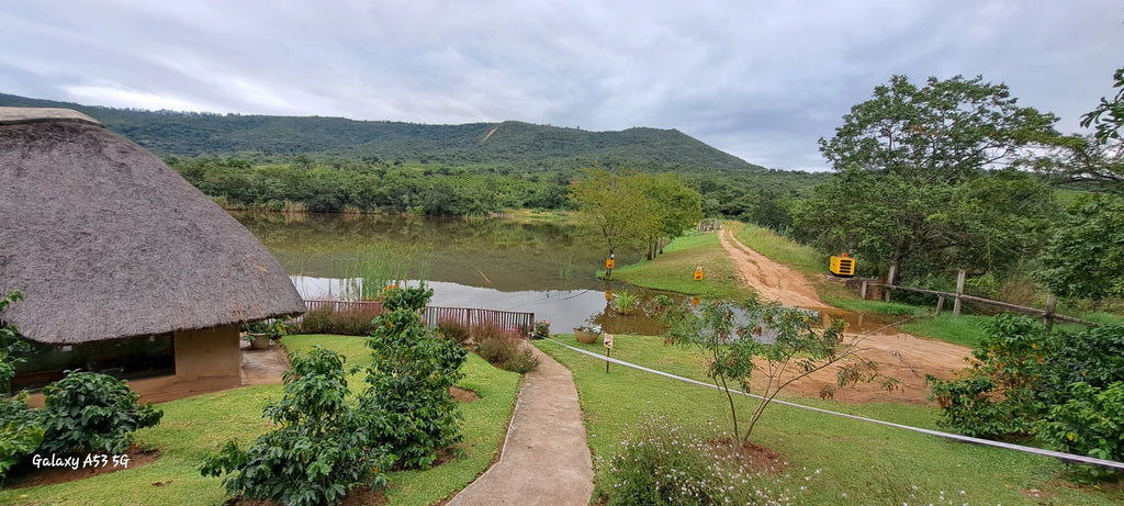The Cycad Lodge & Chalets, Mbombela South Africa