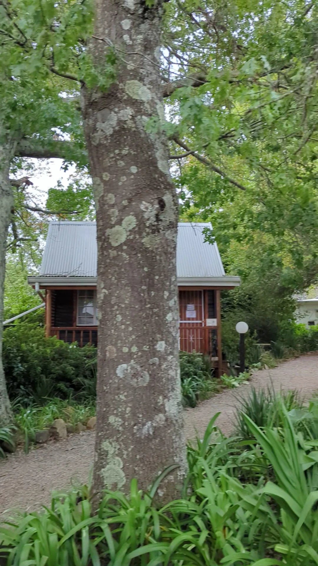 The Edge Mountain Retreat, Hogsback South Africa