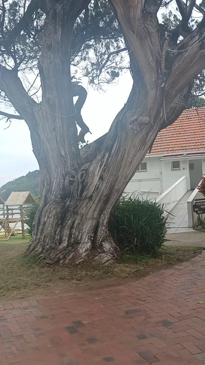 The Estuary Hotel & Spa, Port Edward South Africa