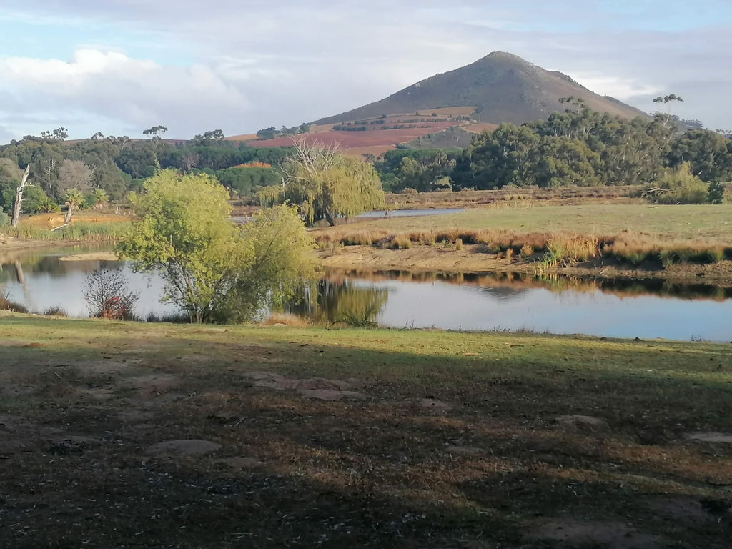 The Farmyard Park, Cape Town South Africa