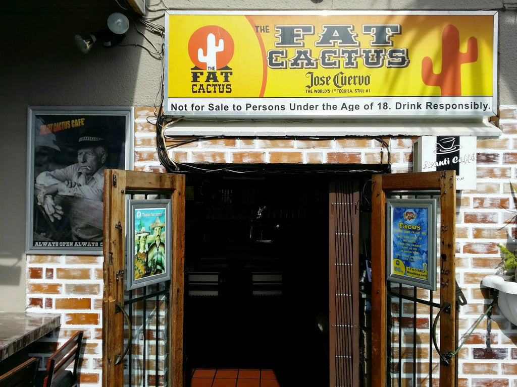 The Fat Cactus Mowbray, Cape Town South Africa