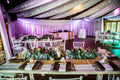 The Forest Walk Venue, Johannesburg South Africa