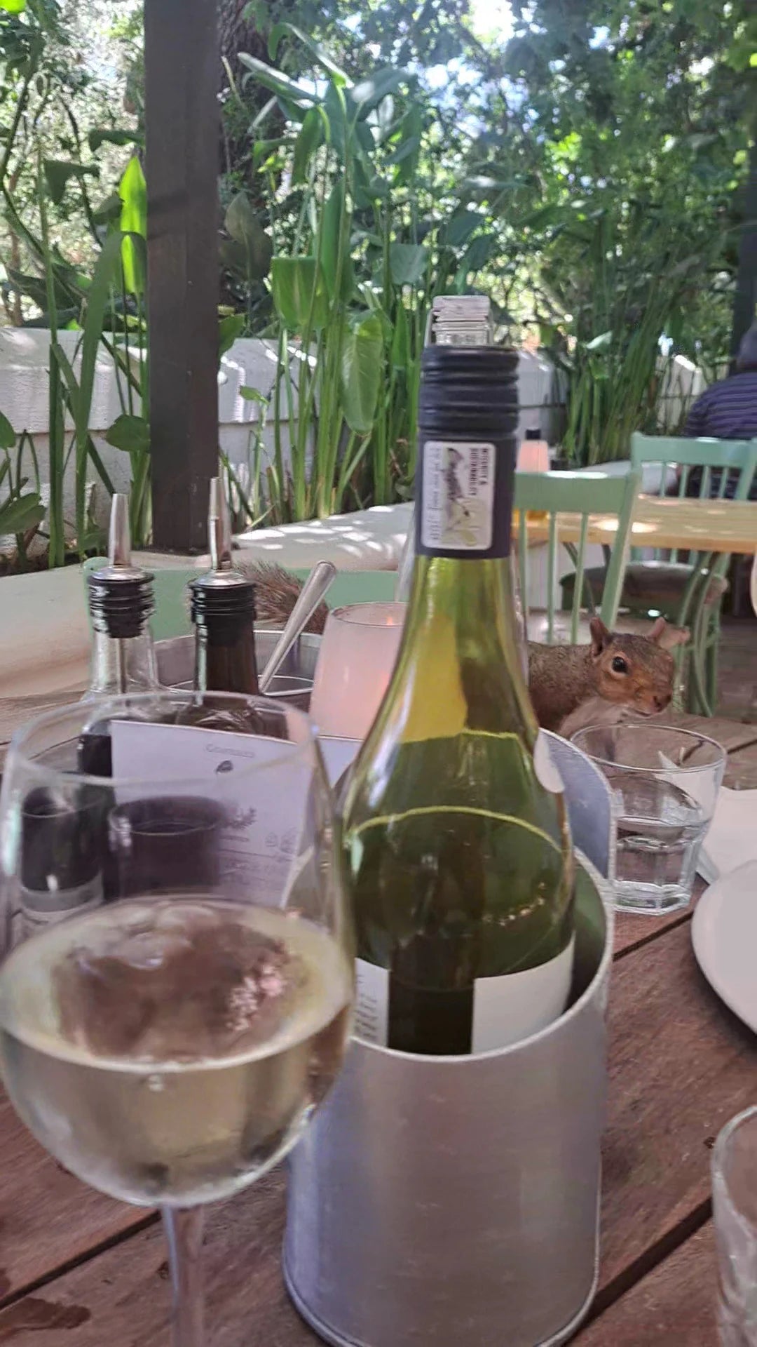 The Goatshed Restaurant, Paarl South Africa