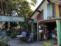The Green Shed Coffee Roastery, Wilderness South Africa