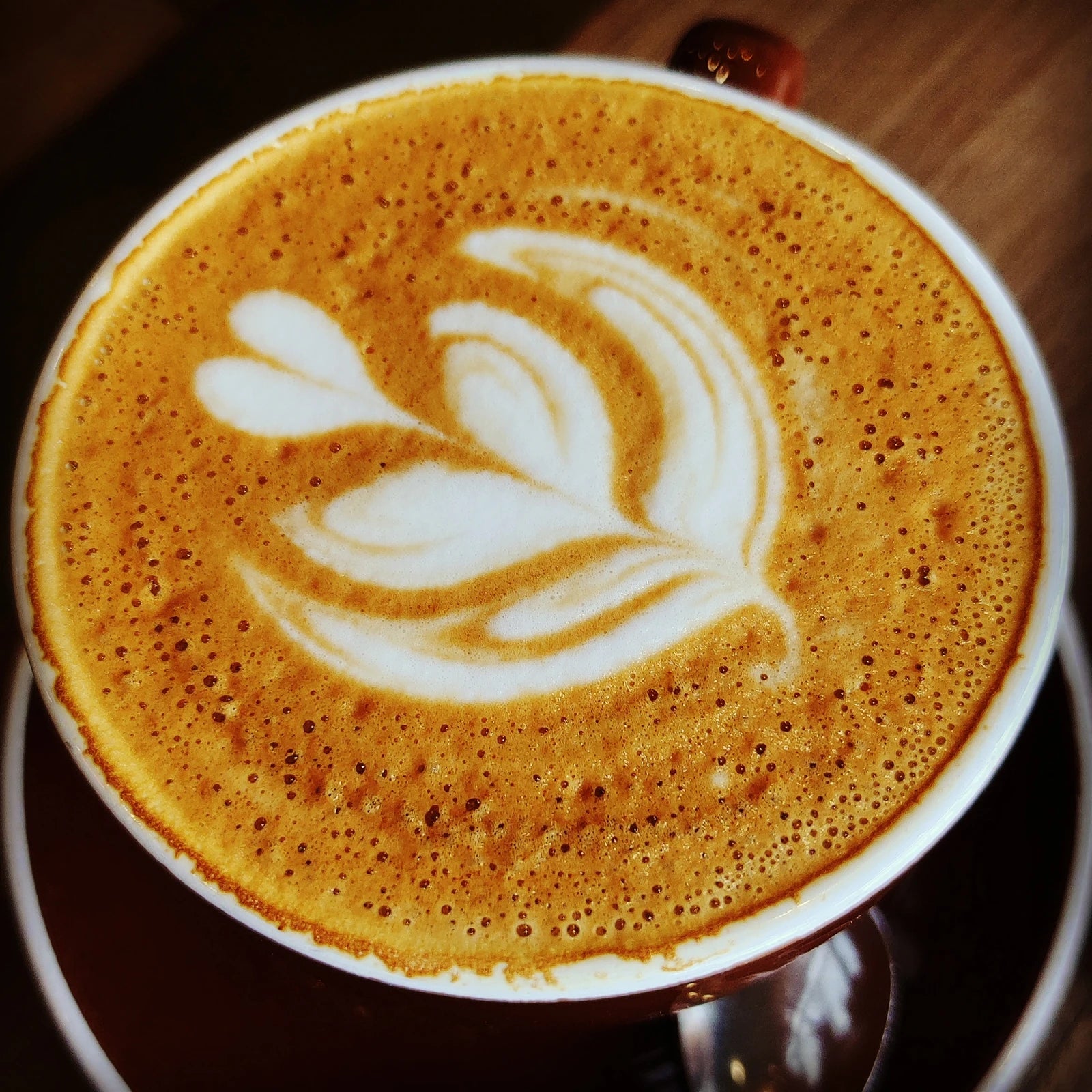 The Hans and Lloyd Coffee Co, Cape Town South Africa