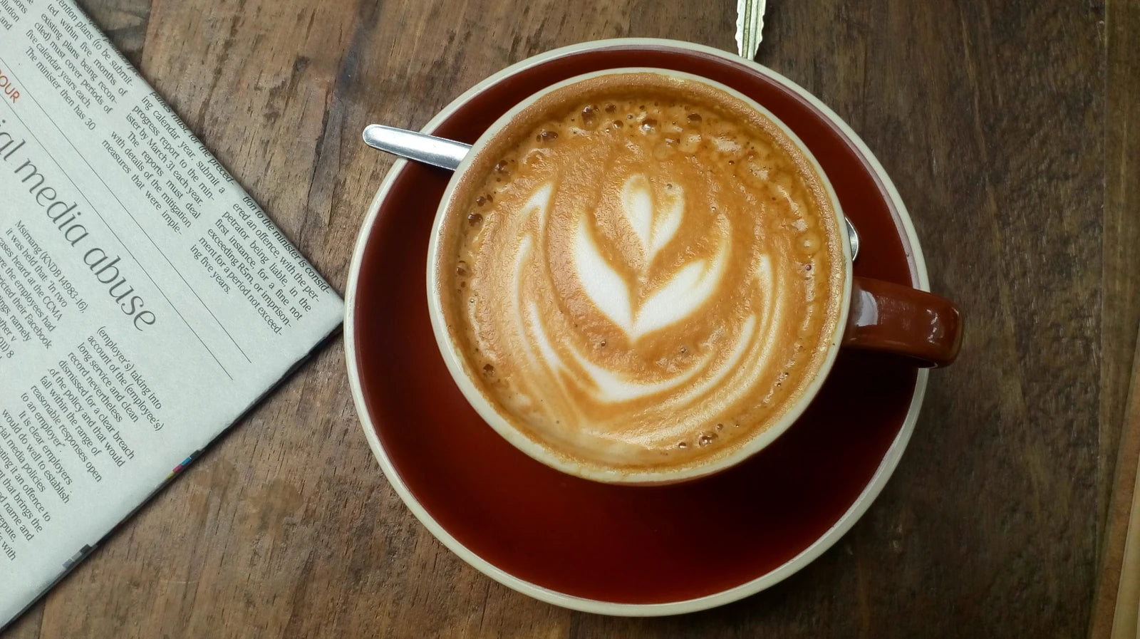 The Hans & Lloyd Coffee Co | Newlands, Cape Town South Africa