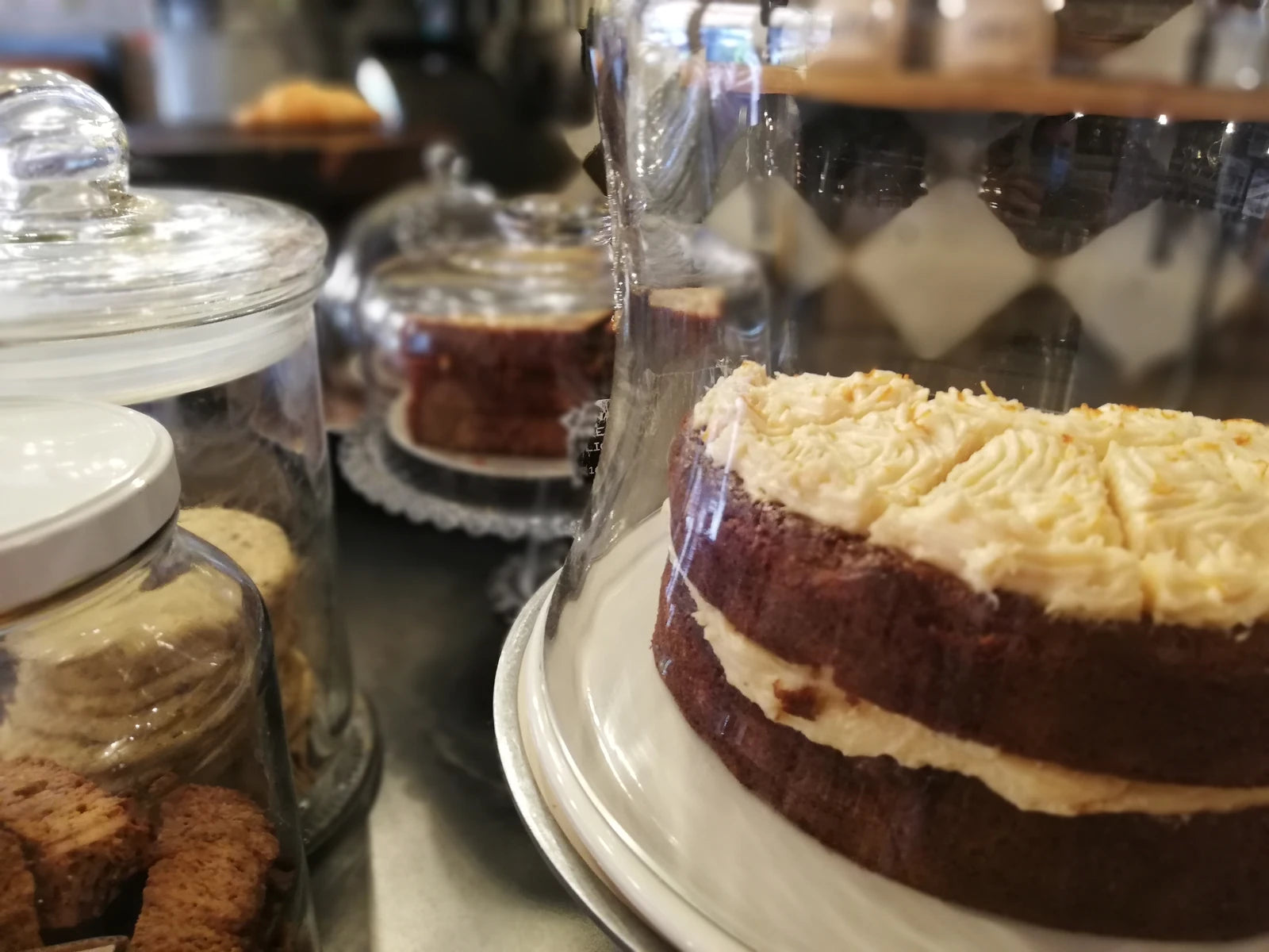 The Hans & Lloyd Coffee Co | Newlands, Cape Town South Africa